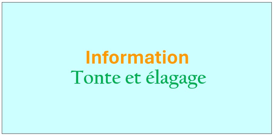 Informations elagage